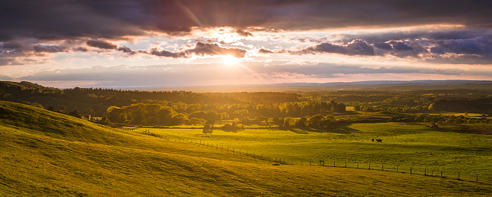 Sunset at a nature reserve at Studland, Dorset, England, United Kingdom, Europe 