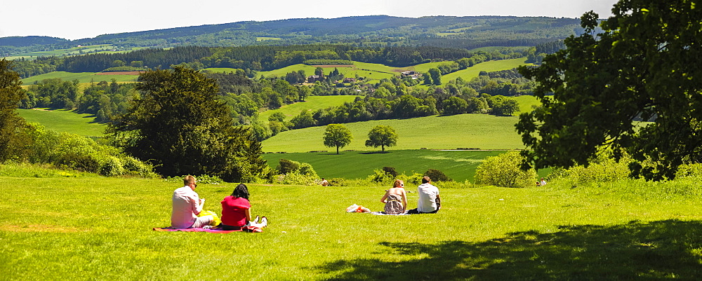 Box Hill, North Downs, Surrey Hills, Surrey, England, United Kingdom, Europe 