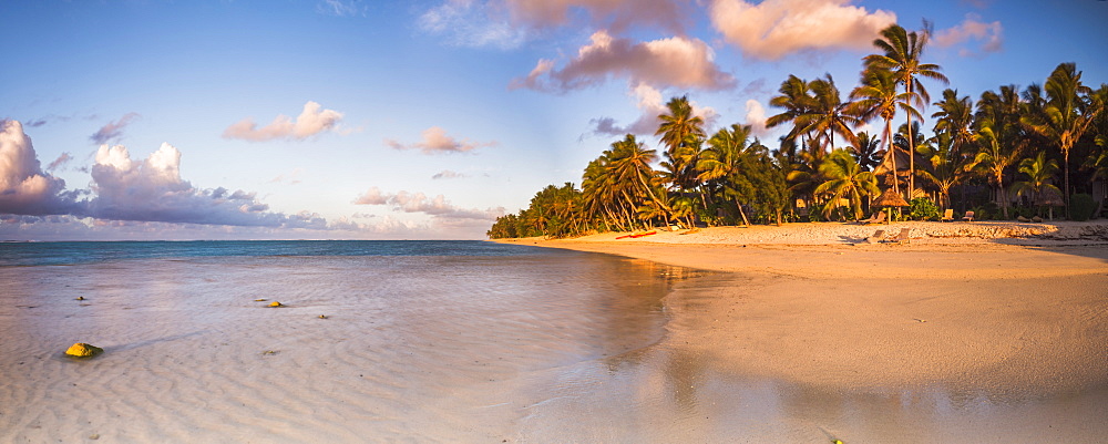 Tropical beach with palm trees at sunrise, Rarotonga, Cook Islands, South Pacific, Pacific