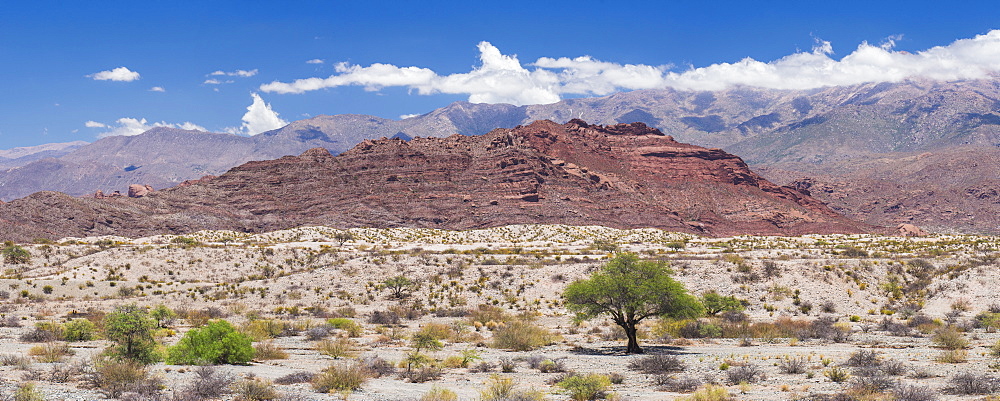 Cachi Valley Gorge, Calchaqui Valleys, Salta Province, North Argentina, South America