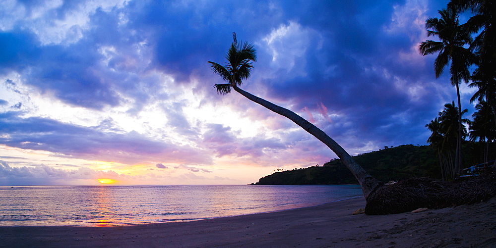 Palm tree silhouette at sunset on the tropical island paradise of Lombok, Indonesia, Southeast Asia, Asia