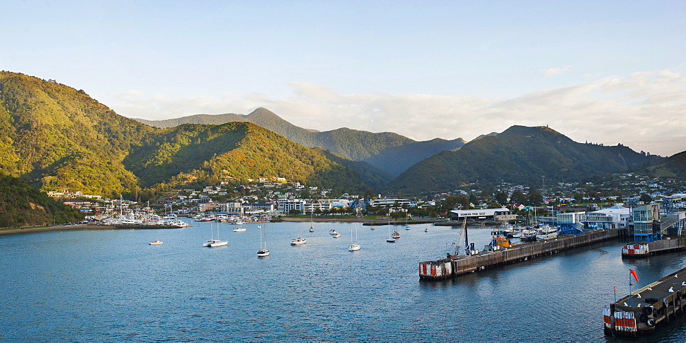 Boats in Picton Harbour and the town centre, Picton, Marlborough Region, South Island, New Zealand, Pacific 