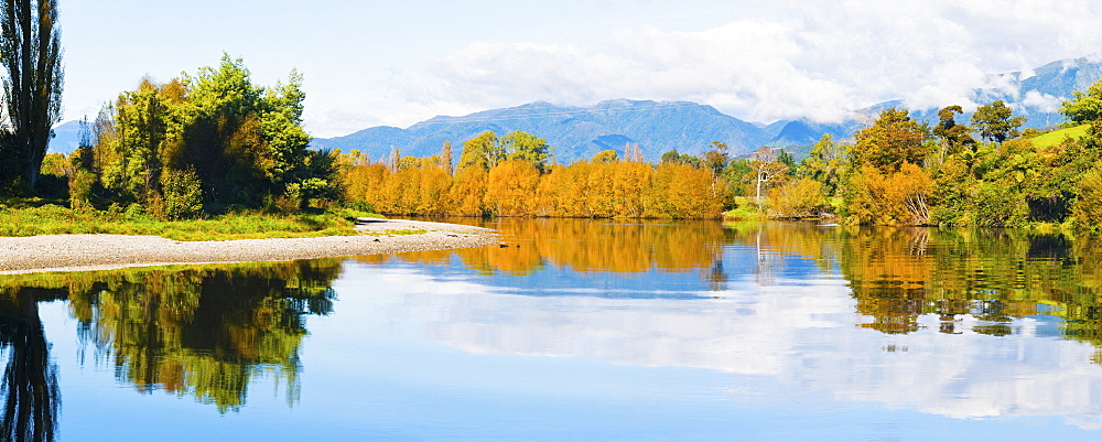 Reflection of autumn trees on the Takaka River, Golden Bay, Tasman Region, South Island, New Zealand, Pacific 