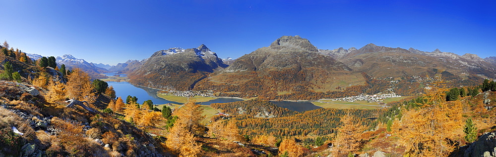 Panorama with larches in autumn colours and Piz da la Margna, lake Silser See, lake Silvaplaner See, Piz Lagrev, lake Champfer See, Piz Julier and Piz Nair, Oberengadin, Engadin, Grisons, Switzerland