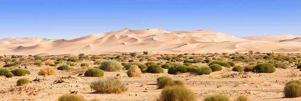 Sanddunes in the libyan desert, Sahara, Libya, North Africa