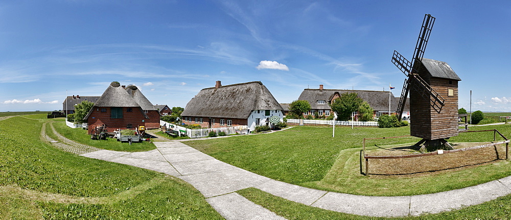 Ketelswarf, Hallig Langeness, North Sea, Schleswig-Holstein, Germany