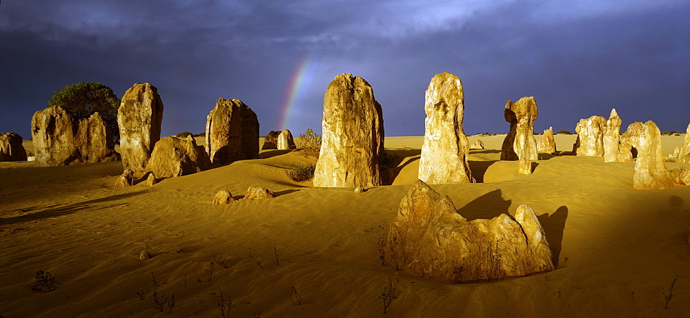 The Pinnacles, limestone formations, Nambung National Park, Western Australia, Australia
