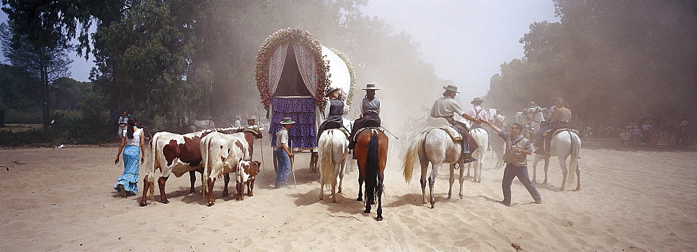 Pilgrims travelling afoot, on horseback and with oxcarts on the sandy Raya Real, Andalusia, Spain