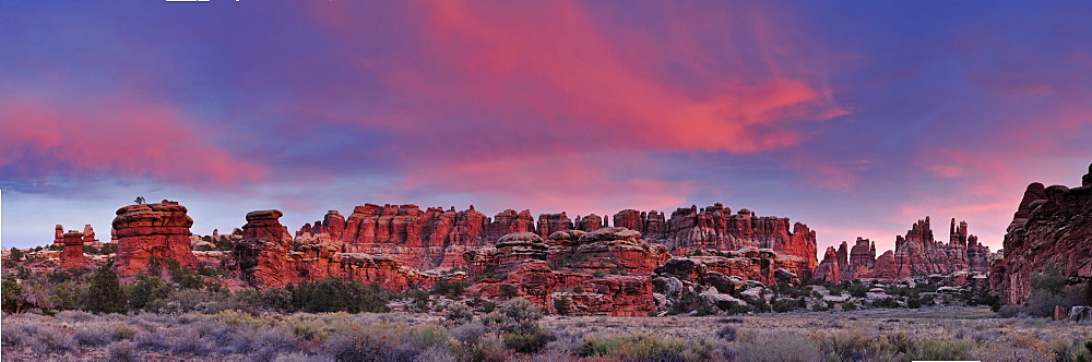 Panorama of rock spires in Chesler Park in the evening, Needles Area, Canyonlands National Park, Moab, Utah, Southwest, USA, America