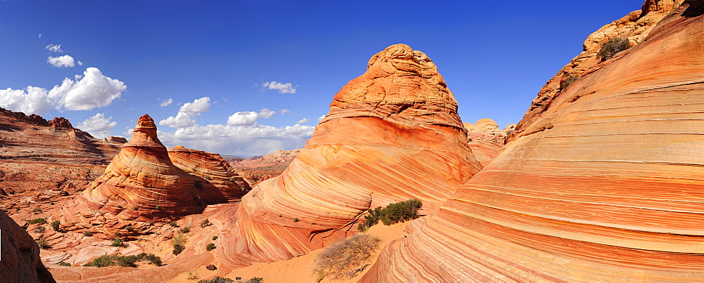 Panorama of red sandstone cones, Coyote Buttes, Paria Canyon, Vermilion Cliffs National Monument, Arizona, Southwest, USA, America