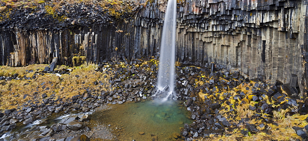 Svartifoss waterfall with basalt columns, Skaftafell, Oraefajokull, East Iceland, Iceland