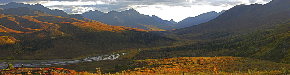 Panoramic of Tombstone Lookout in Autumn, Klondike Valley, Dempster highway, Yukon