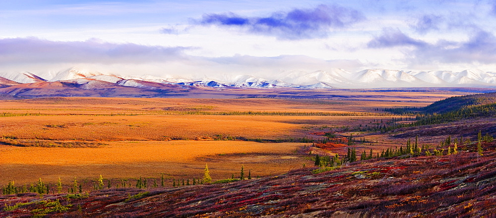 Arctic Circle, fall colours and Richardson Mountains along Dempster Highway, Yukon