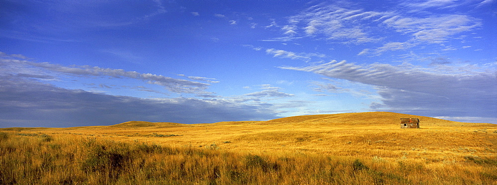 Abandoned House on the Prairies at Sunrise, Grasslands National Park, Saskatchewan