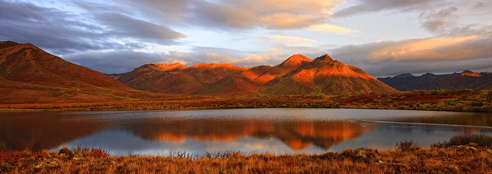 Panoramic of sunrise over Mount Adney reflected in a pond in fall, along the Dempster Highway, Yukon