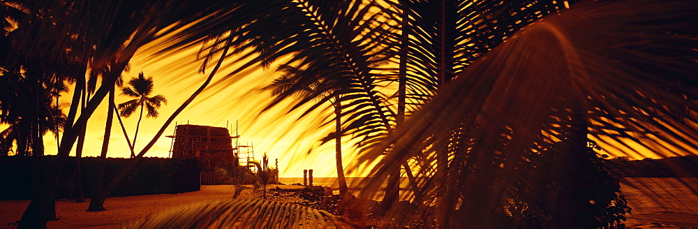 Hawaii, Big Island, Pu'uhonua O Honaunau (Place of Refuge), Palms and heiau silhouetted against sunset.