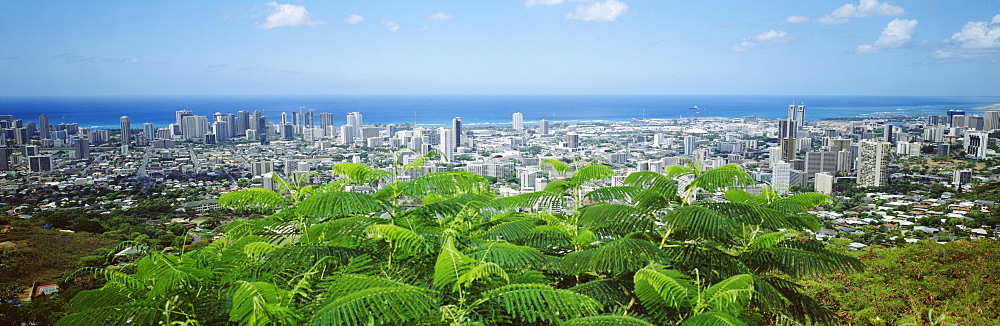 Hawaii, Oahu, Honolulu, Panoramic view of city buildings and greenery from Tantalus Lookout.