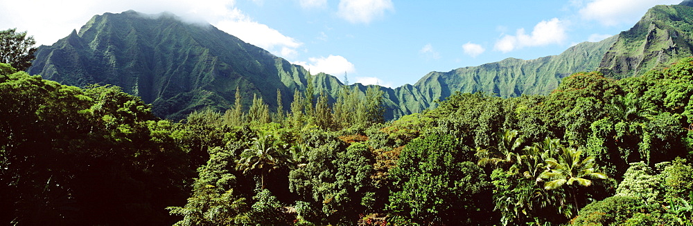 Hawaii, Oahu, Koolau Mountains, Haiku Gardens in foreground.