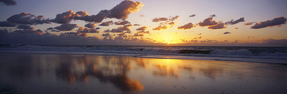 Mexico, Baja, Panoramic view of beach at sunset, shoreline with reflections, cumulus clouds