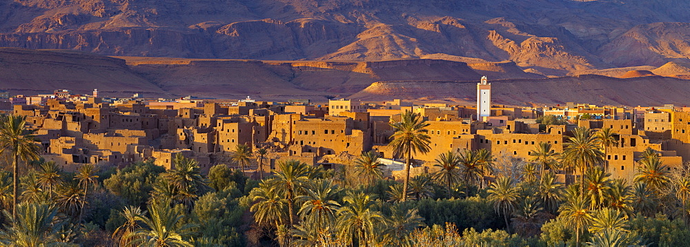 Tinerhir kasbahs and palmery, Tinghir, Todra Valley, Morocco, North Africa, Africa