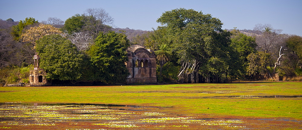 Rajbagh Lake and Maharaja of Jaipur's Hunting Lodge in Ranthambhore National Park, Rajasthan, Northern India