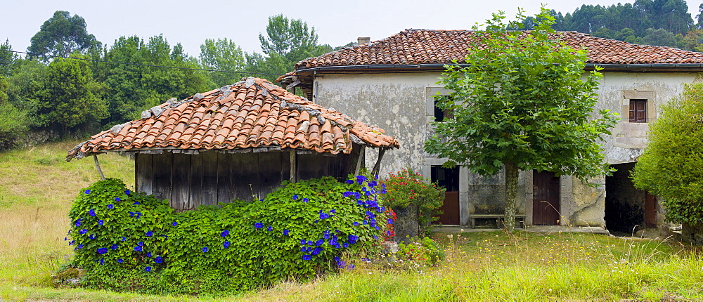 Traditional home with raised hay barn near Valle de Valdeon in Picos de Europa, Northern Spain