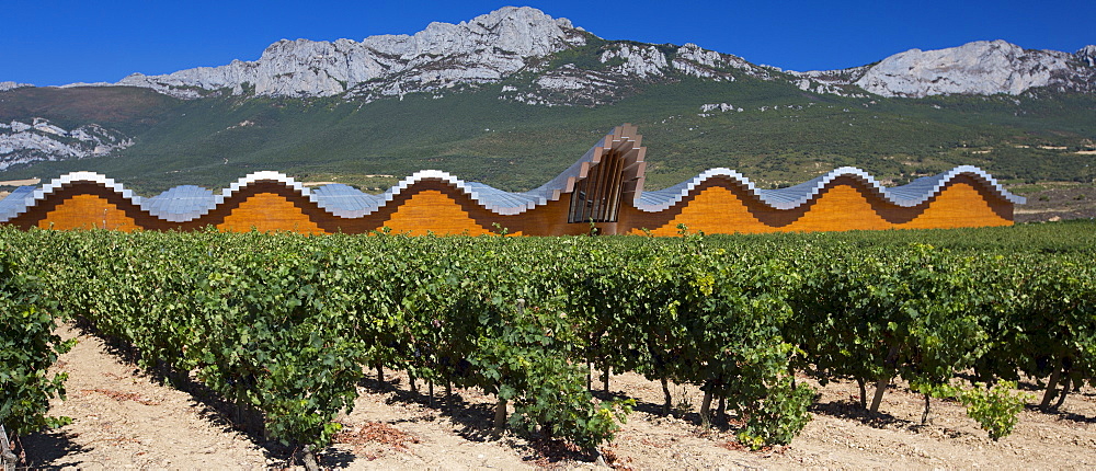 Ysios Bodega winery futuristic architecture at Laguardia in Rioja-Alaveda wine-producing area of Basque country, Spain