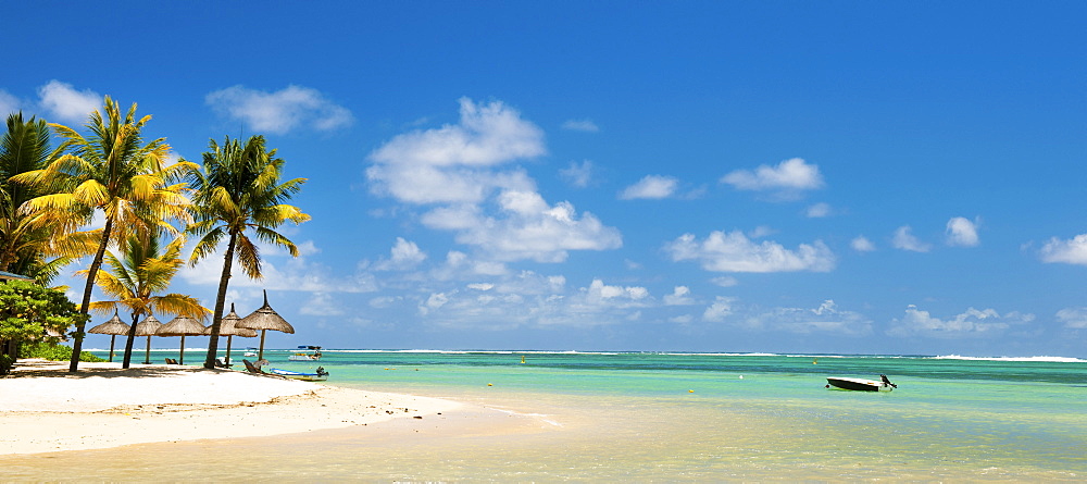 Turquoise sea and white palm fringed beach, Le Morne, Black River, Mauritius, Indian Ocean, Africa