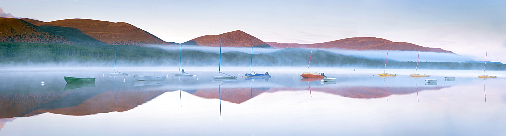 Daybreak in mid-summer over Loch Morlich, Glenmore, Cairngorms National Park, Scotland, United Kingdom, Europe