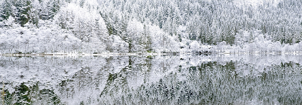 Reflections on Loch Chon in winter, Aberfoyle, Stirling, The Trossachs, Scotland, United Kingdom, Europe