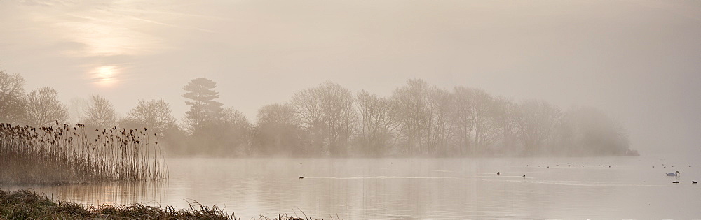 Sunrise at The Great Lake, Castle Howard, North Yorkshire, Yorkshire, England, United Kingdom, Europe