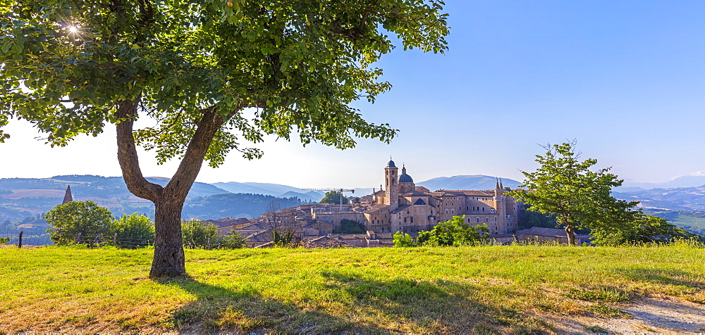 View from the Albornoz Fortress, Urbino, Marche, Italy, Europe