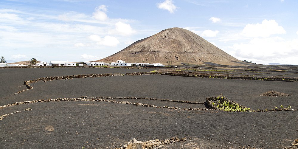 Volcano cone and black volcanic soil farmland, Monta Tinache, near Tinajo, Lanzarote, Canary Islands, Spain, Atlantic, Europe