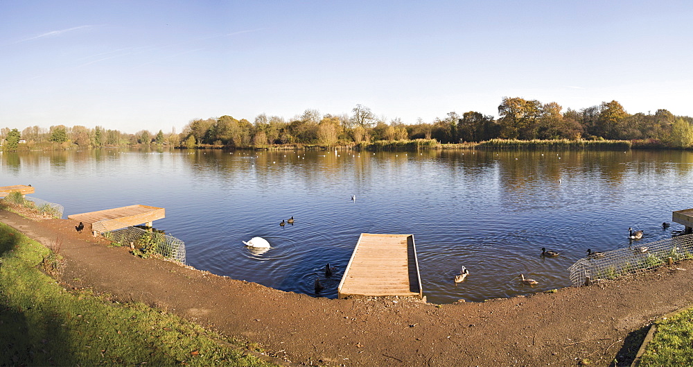 Arrow Valley Lake Country Park, Redditch, Worcestershire, England, United Kingdom, Europe