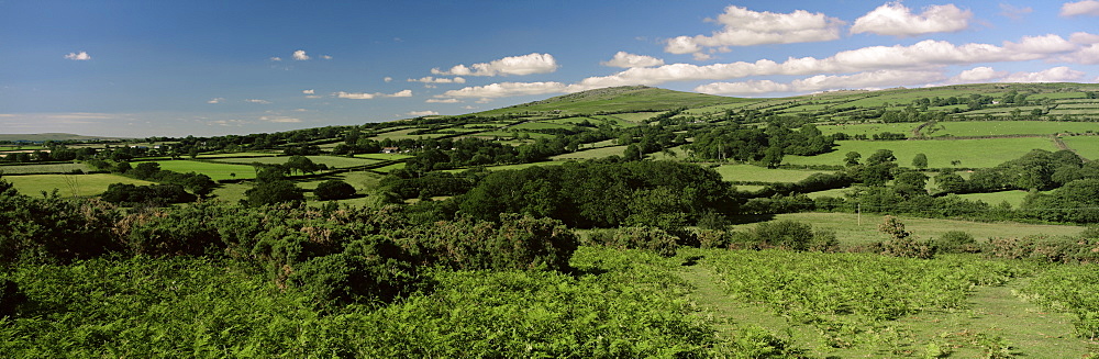 Scene near Low Town, Dartmoor, south Devon, England, United Kingdom, Europe