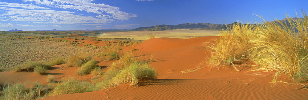 Panoramic view over orange sand dunes towards the mountains, Namib Rand private game reserve, Namibia, Africa