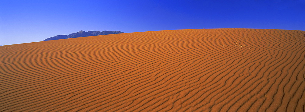 Panoramic view of orange sand dune and blue sky, Namib Rand, a 500000 acre private game reserve in the Namib Naukluft Park, Namibia, Africa