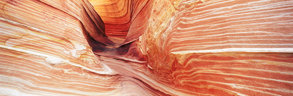 Sandstone Wave, Paria Canyon, Vermillion Cliffs Wilderness, Arizona, United States of America (U.S.A.), North America