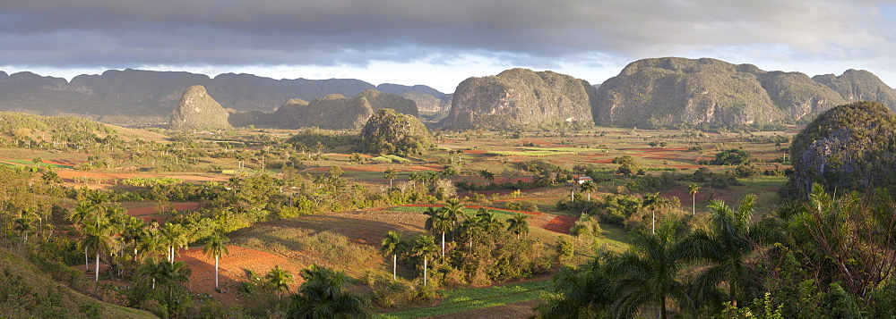 Panoramic view of Vinales Valley, UNESCO World Heritage Site, from Hotel Los Jasmines, early morning, Vinales, Pinar Del Rio Province, Cuba, West Indies, Central America 