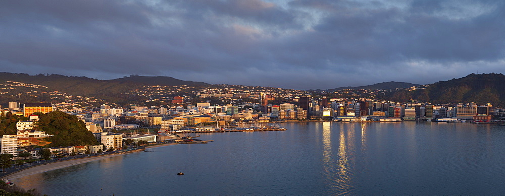 Panorama of Wellington city and harbour, early morning, Wellington, North Island, New Zealand, Pacific