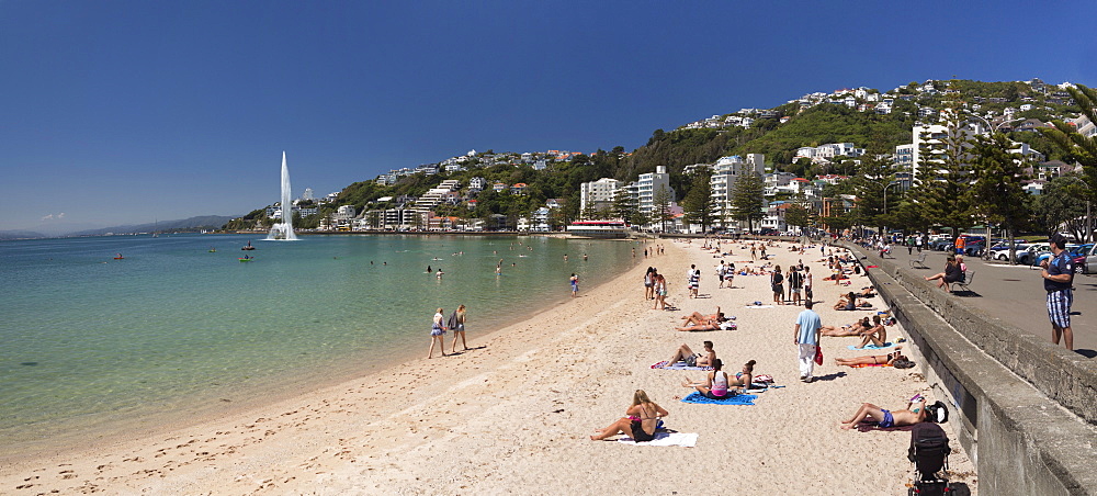 Oriental Bay and beach, Wellington, North Island, New Zealand, Pacific