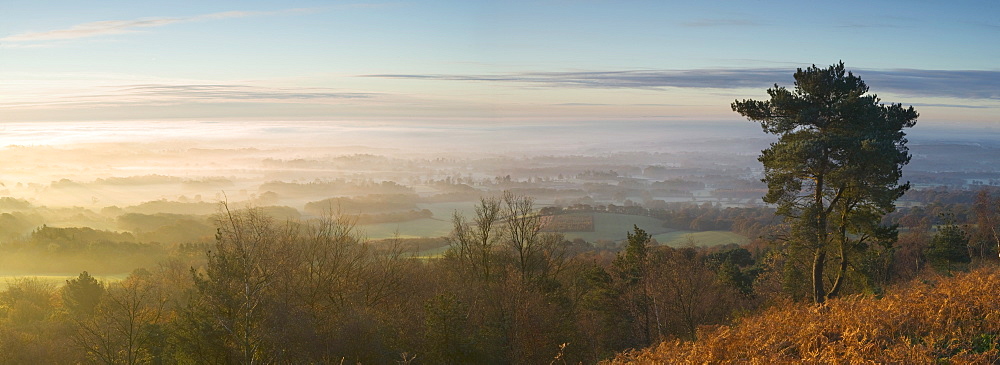 Misty winter sunrise from Leith Hill, North Downs, Surrey, England, United Kingdom, Europe