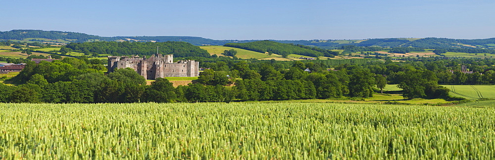 Raglan Castle, Monmouthshire, Wales, United Kingdom, Europe 