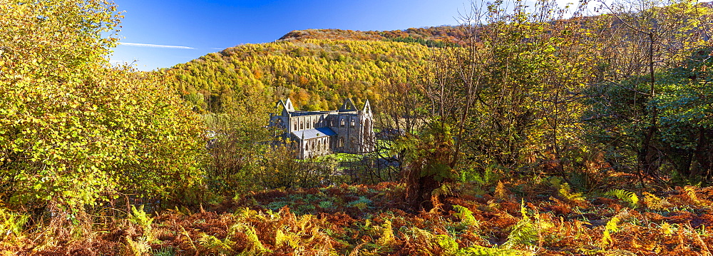 Tintern Abbey, Monmouthshire, Wales, United Kingdom, Europe 