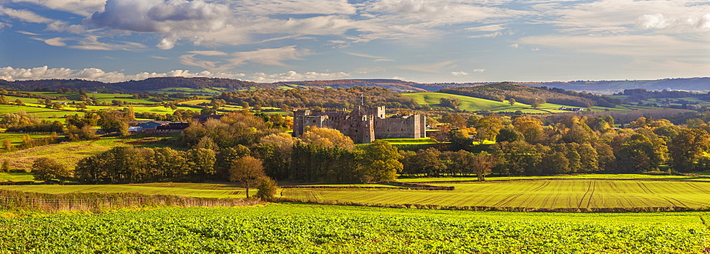 Raglan Castle, Monmouthshire, Wales, United Kingdom, Europe 