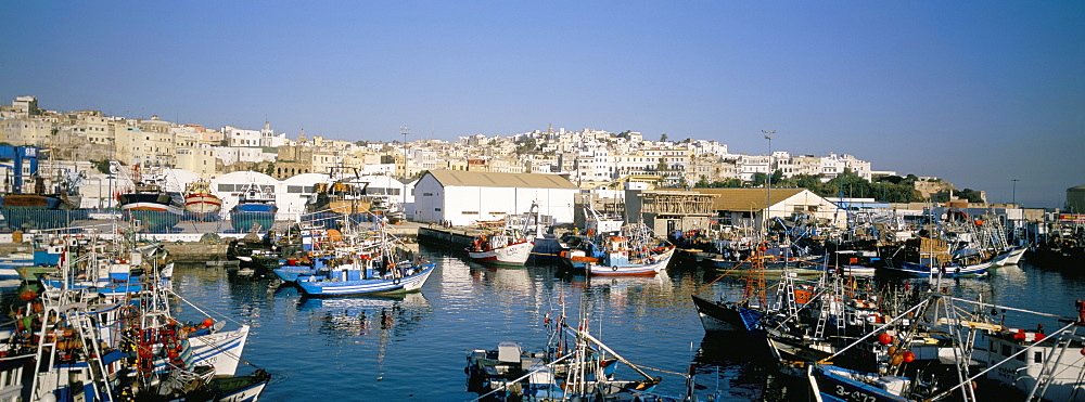 Old medina from the port, Tangier, Morocco, North Africa, Africa