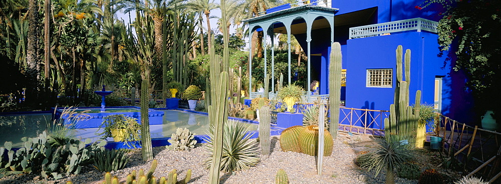 Majorelle Gardens, Marrakech (Marrakesh), Morocco, North Africa, Africa