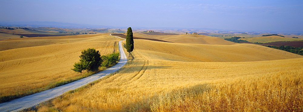 Road running through open countryside, Orcia Valley, Siena region, Tuscany, Italy 