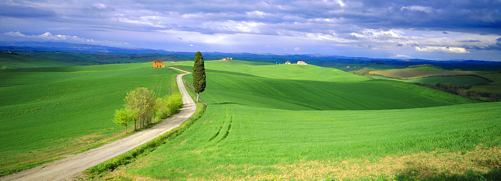 Road running through open countryside, Orcia Valley, Siena region, Tuscany, Italy 