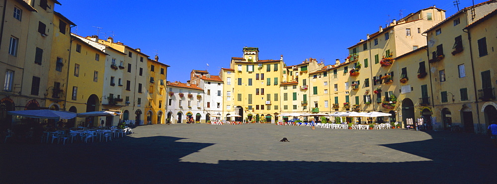 Piazza dell' Anfitearto Lucca, Tuscany, Italy, Europe